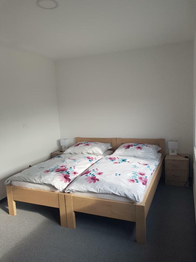 לוגאטץ Apartmaji Jankovic מראה חיצוני תמונה
